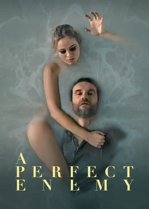 A perfect enemy A perfect enemy